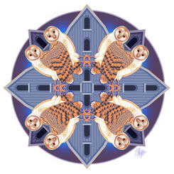Barn Owl Midnight Mandala