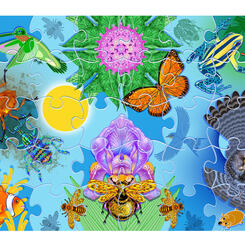 Biodiversity Connection