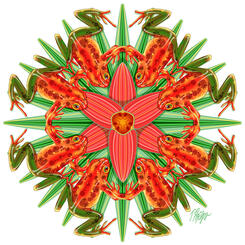 Red Bromeliad Dart Frog Mandala