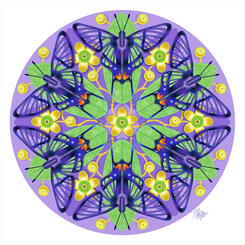 Chlorinea Butterfly Hippocratea Mandala