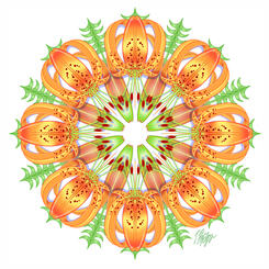 Curved Tiger Lily Nature Mandala