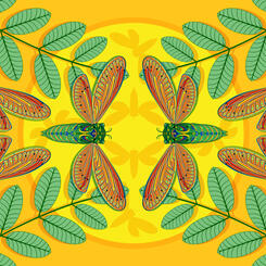 Dog Day Cicada Sunlight Nature Panel