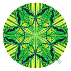Green and Yellow Birdwing Butterly Mandala