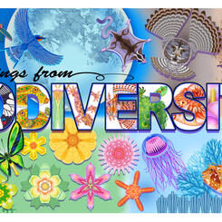 Greetings from Biodiversity