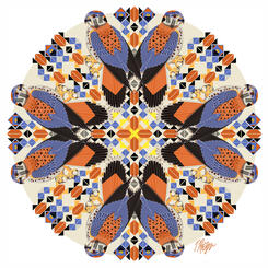 Hopi Sparrow Hawk Nature Mandala