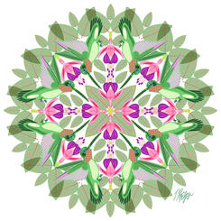 Hummingbird Pink Fuchsia Mandala