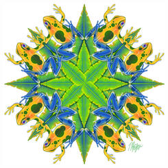 Yellow Jungle Dart Frog Mandala