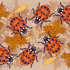 Ladybug Leaf Litter Hideaway Nature Panel