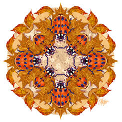 Spotted Ladybug Leaf Litter Mandala