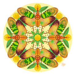 Lanternfly Longan Tree Mandala