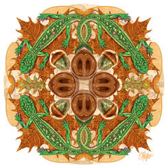 Leaf Litter Salamander Mandala
