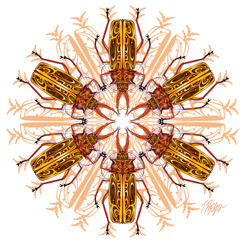 Macrodontia Beetle Nature Mandala