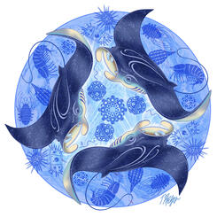Manta Ray Diet Nature Mandala