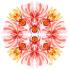 Chrysanthemum Spider Nature Mandala
