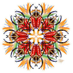 Bird of Paradise Goliath Beetle Mandala