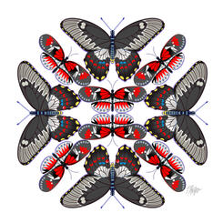 Red Black Gray Butterfly Mandala