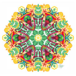 Red Shield Bug Hibiscus Mandala