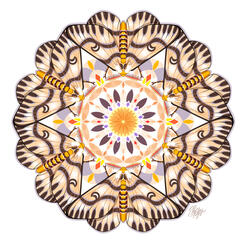 Sagebrush Moth Crescent Mandala