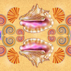 Seashore Seashell Collection Nature Panel