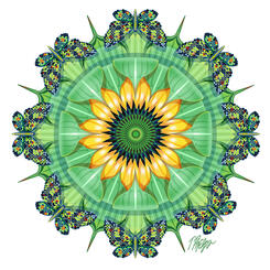 Sunflower Emerging Bloom Butterfly Mandala