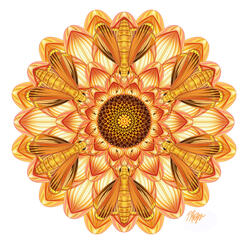 Yellow Dahlia Skipper Butterfly Mandala