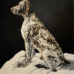 Pet Portrait by Collin Cessna