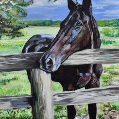 Horse painting by Collin Cessna 