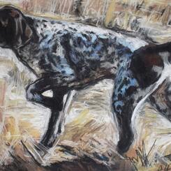 Pet Portrait by Collin Cessna