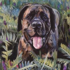 Pet Portrait by Collin Cessna