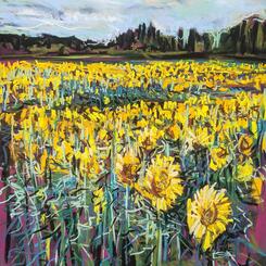 Jarrettsville Sunflowers Pastel, Collin Cessna, 2021