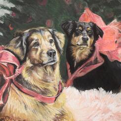 Pet Portrait by Collin Cessna