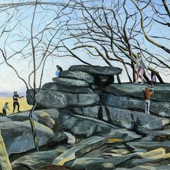 A Natural Attraction.jpg