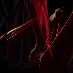 Untitled (#05-21-21-198)