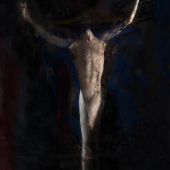 Untitled (#06-23-17-534)