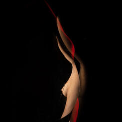 Untitled (#07-05-19-401) 2019