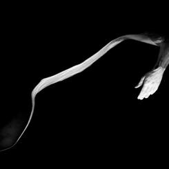 Untitled (# 11159)   2005