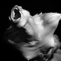 Untitled (#5978,) 1994