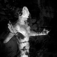 Untitled (# 9535) 2002