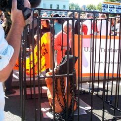 End the Torture, Now!