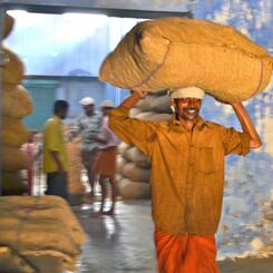 Hauling Feed Bag