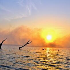 Kabini River at Dawn