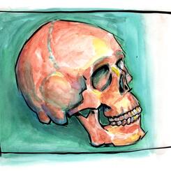 Orange on Green Skull