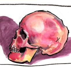 Red Yellow and Purple Skull