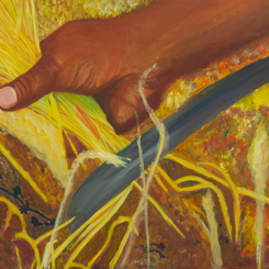 El Corte.Squarepace.png