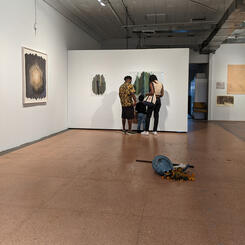 Gallery View 