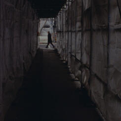 DER SPAZIERGANG (still frame)