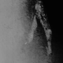 Of Our Mothers (still frame) 