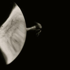 Sympathetic Bodies (still frame) 