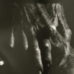 Sympathetic Bodies (still frame) 