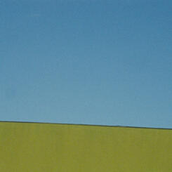 understory (still frame) 